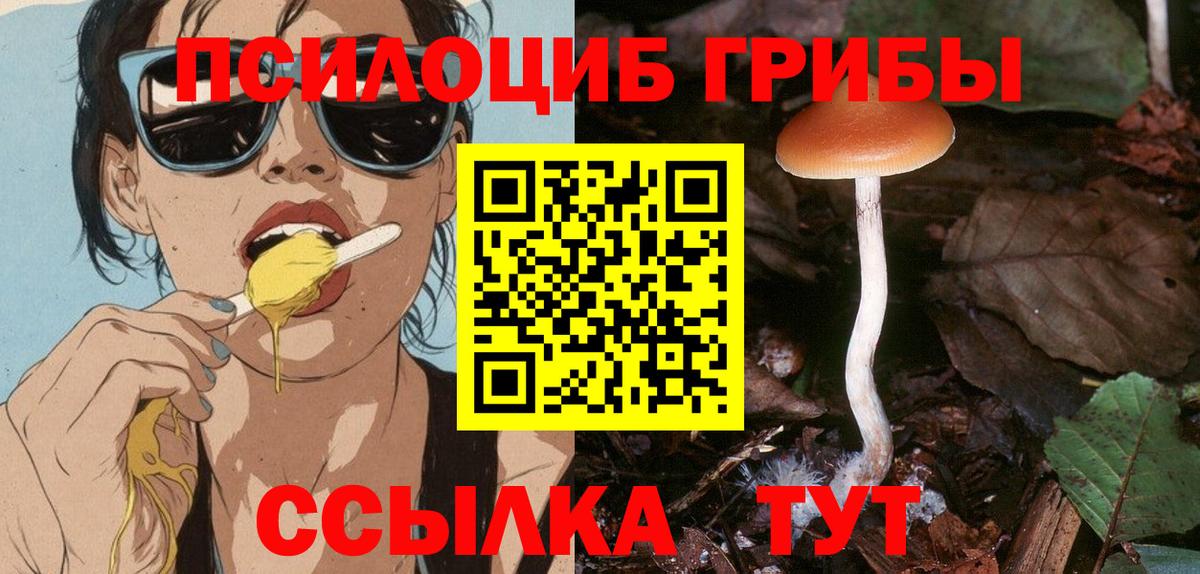 Псилоцибиновые грибы Magic Shrooms Красноуфимск